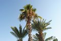 Majesty Palm Beach Side Antalya - 0048